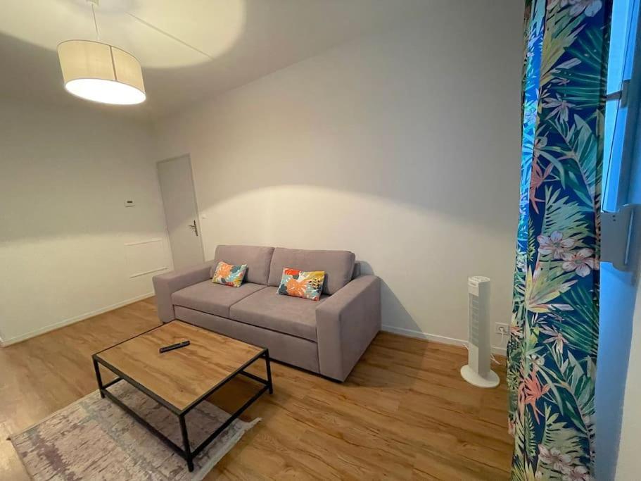 Le Tropical - Spacieux T2 Proche Toutes Commodites *